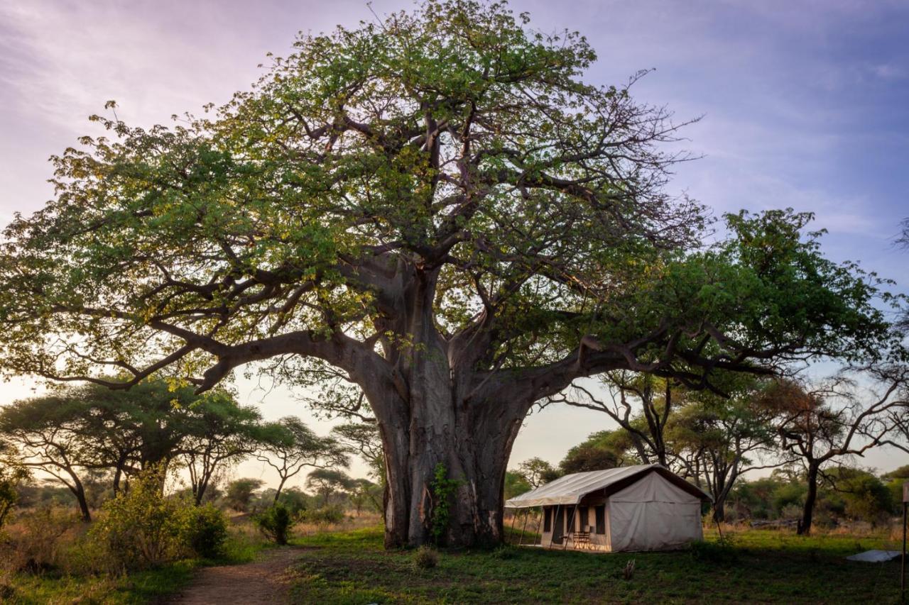 Baobab Tented Camp Kwa Kuchinia Kültér fotó