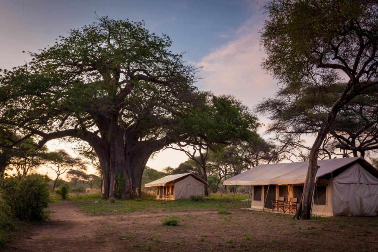 Baobab Tented Camp Kwa Kuchinia Kültér fotó
