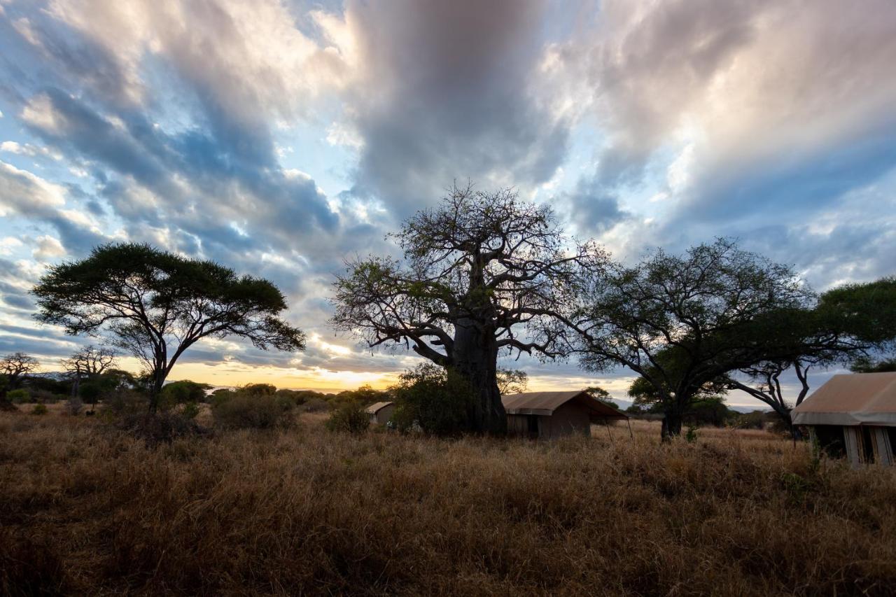 Baobab Tented Camp Kwa Kuchinia Kültér fotó