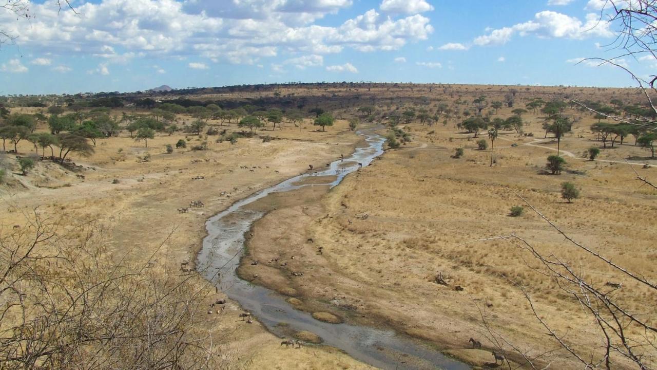 Baobab Tented Camp Kwa Kuchinia Kültér fotó